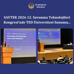 savtek26